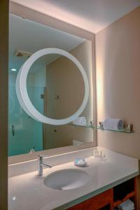 メイコンにあるSpringHill Suites by Marriott Maconのバスルーム(シンク、大きな鏡付)