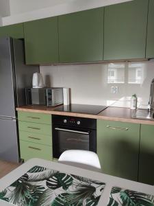 a kitchen with green cabinets and a black oven at Telimena in Wyszków