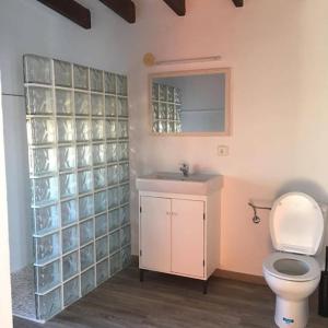 a bathroom with a toilet and a sink and a mirror at CAN JAUME D’EN PEP MIQUEL in Sant Francesc Xavier