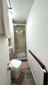 a bathroom with a shower and a toilet and a sink at Millfields Place in London