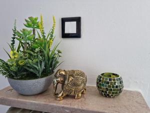 eine Figur eines Elefanten auf einem Tisch neben einer Pflanze in der Unterkunft NEW Pascasio Suite: charming stays at the doors of Udine in Pasian di Prato