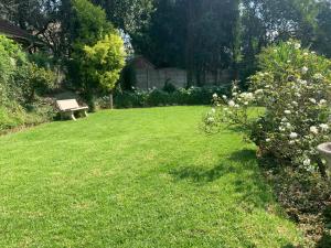 a lawn with a bench in the middle of a yard at Coz Bachelor Pad in Randburg in Johannesburg