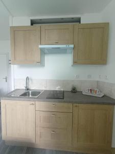 a kitchen with a sink and wooden cabinets at LE KENAV - STUDIO A 300 M DU PORT in Locmiquélic