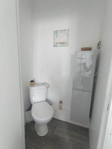 a white bathroom with a toilet and a shower at LE KENAV - STUDIO A 300 M DU PORT in Locmiquélic