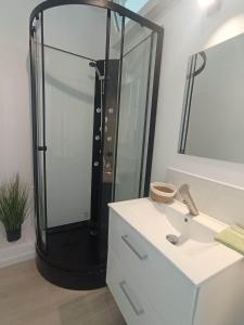 a bathroom with a shower and a white sink at LE KENAV - STUDIO A 300 M DU PORT in Locmiquélic