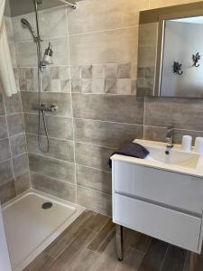 a bathroom with a sink and a shower at La Petite Salamandre in Chitenay