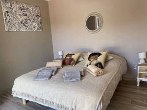 een bed met kussens in een slaapkamer bij La Petite Salamandre in Chitenay