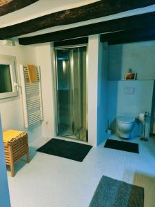 ein Bad mit einem WC und einer Glasdusche in der Unterkunft Ca' Sistina Yellow in Morcote