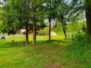 ein Park mit Bäumen und einer Bank im Gras in der Unterkunft Moulin Du Pommier Glamping & Camping in Saulgond