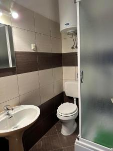 bagno con servizi igienici e lavandino di Guest House Iva a Senj
