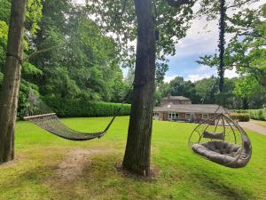 a hammock hanging from a tree in a yard at The Lodge in Skipwith