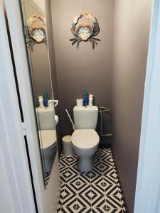 La salle de bains est pourvue de toilettes et d'un miroir. dans l'établissement APPARTEMENT T2 RIVE DROITE, à Brest