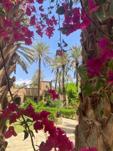 a view of a garden with pink flowers and palm trees at Maison d H&ocirc;te Ighrem in Goulmima