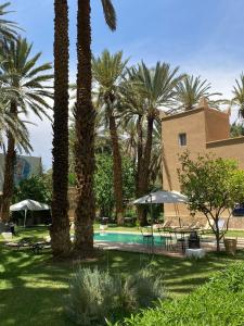a group of palm trees and a swimming pool at Maison d H&ocirc;te Ighrem in Goulmima