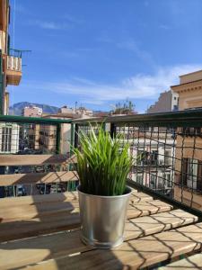 uma planta em vasos sentada numa varanda com vista em Room Sixty One em Palermo mais 37 fotografias