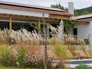 un giardino di fronte a una casa con ombrellone di Two villas in lush countryside near Motovun a Brkač