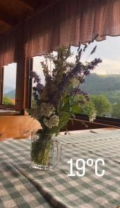 a vase of flowers sitting on a table with a window at Bed and Breakfast Umoljani in Umoljani