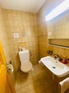 bagno con servizi igienici e lavandino di Rooms with Private bathrooms a Saas