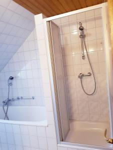 a bathroom with a shower with a tub and a shower stall at Bergbauernhof Rebernig in Lendorf