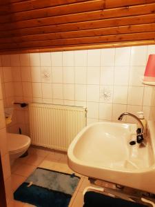 a bathroom with a sink and a toilet at Bergbauernhof Rebernig in Lendorf