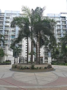 two palm trees in a park in front of a building at NAIA Condo Palm Tree 2 in Manila