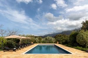 - une piscine avec des chaises et un parasol dans l'établissement Domaine du Reginu, à Santa-Reparata-di-Balagna