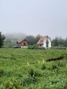 a field with two houses in the background at Golija Vikend kuća Milenković in Raška
