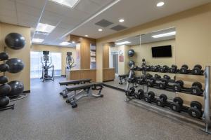a gym with several rows of tread machines and a mirror at TownePlace Suites by Marriott St. Louis Edwardsville, IL in Edwardsville
