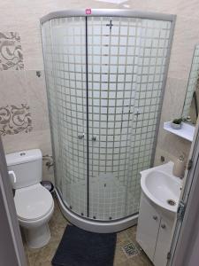 W łazience znajduje się prysznic, toaleta i umywalka. w obiekcie Amda Studio w mieście Onești