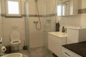 a bathroom with a shower and a toilet and a sink at Apartman Stella in Pula