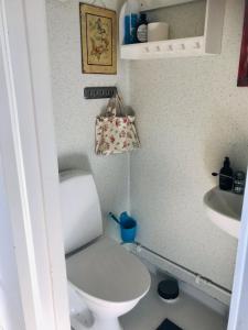 a small bathroom with a toilet and a sink at Övraby Stuga in Gödeby