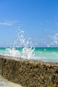 uma onda a cair na costa de uma praia em Dar Mar Hostel & Coworking em Paje