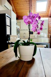 un vase blanc avec des fleurs violettes sur une table dans l'établissement La Buschera, à Bra