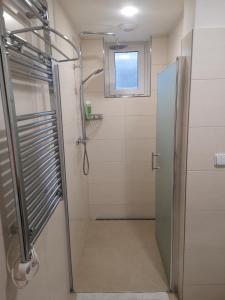 a shower with a glass door in a bathroom at Apartma Marcella Liberec in Liberec
