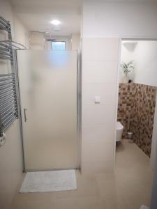 a shower stall in a bathroom with a toilet at Apartma Marcella Liberec in Liberec