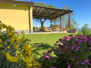 Vonkajšia záhrada v ubytovaní Villa Matilde