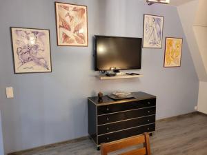 Televízia a/alebo spoločenská miestnosť v ubytovaní Les Embruns - Plein ciel - appartement 3eme étage