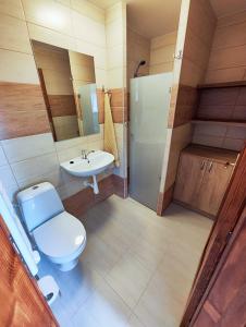 ein Bad mit einem WC und einem Waschbecken in der Unterkunft Malostranská restaurace in Lišov