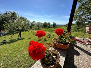 Vonkajšia záhrada v ubytovaní Villa Matilde