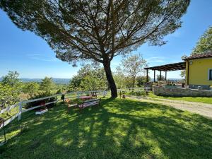 - un parc avec un arbre et une table de pique-nique dans l'établissement Villa Matilde, à Catabbio