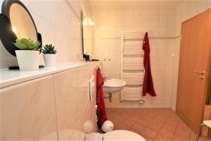 Un baño con lavabo, inodoro y espejo. en Altes Wasserwerk App 09, en Wustrow