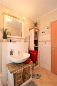 un baño con lavabo y espejo en Altes Wasserwerk App 14, en Wustrow