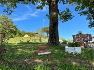 Vonkajšia záhrada v ubytovaní Villa Matilde