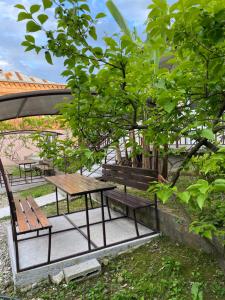 um grupo de mesas de piquenique e bancos debaixo de uma árvore em Hotel Stella em Nova Athos