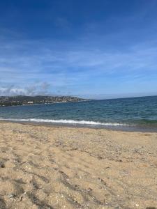 Příroda nedaleko apartmánu + 5 fotografií