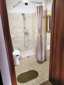 a bathroom with a shower and a toilet and a sink at Casa Vacanza "A Due Passi" in Paravati