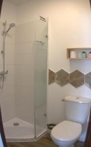 uma casa de banho com um WC e uma cabina de duche em vidro. em Coté Lac mini em Mimizan
