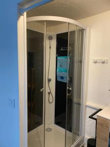 a shower with a glass door in a bathroom at POPPY appartement de charme à 2 min centre-ville in Figeac