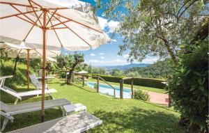 um pátio com um guarda-sol e cadeiras e uma piscina em Casa Vanessa em Cireglio