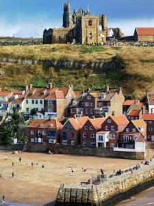 Gallery image of Cosy cottage and lodge, near York 